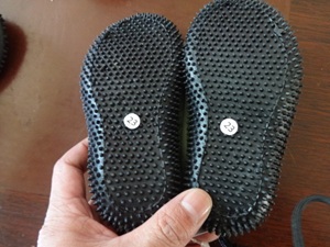 Shoe Loading Inspections in France